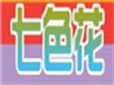 七色花饰品