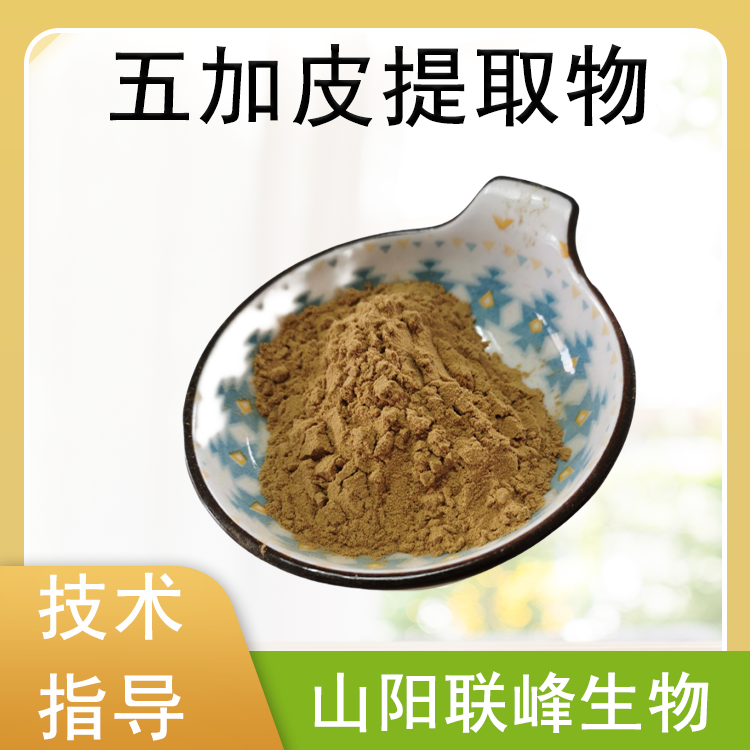 五加皮提取物 10:1 植物萃取 五加浓缩粉 水溶性好 联峰生物 定制加工