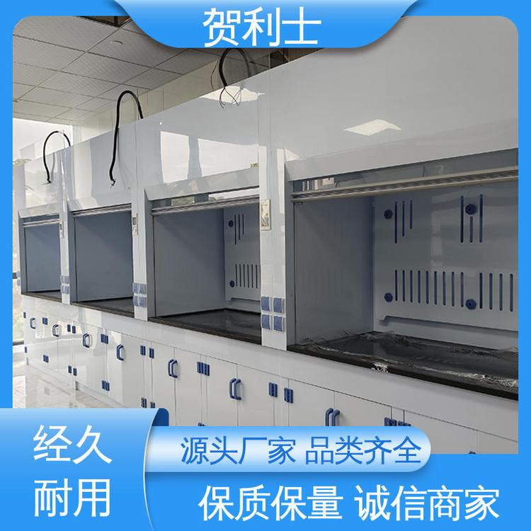 实验室通风柜 保质保量 精致打造 实芯理化板台面 性能好 贺利士