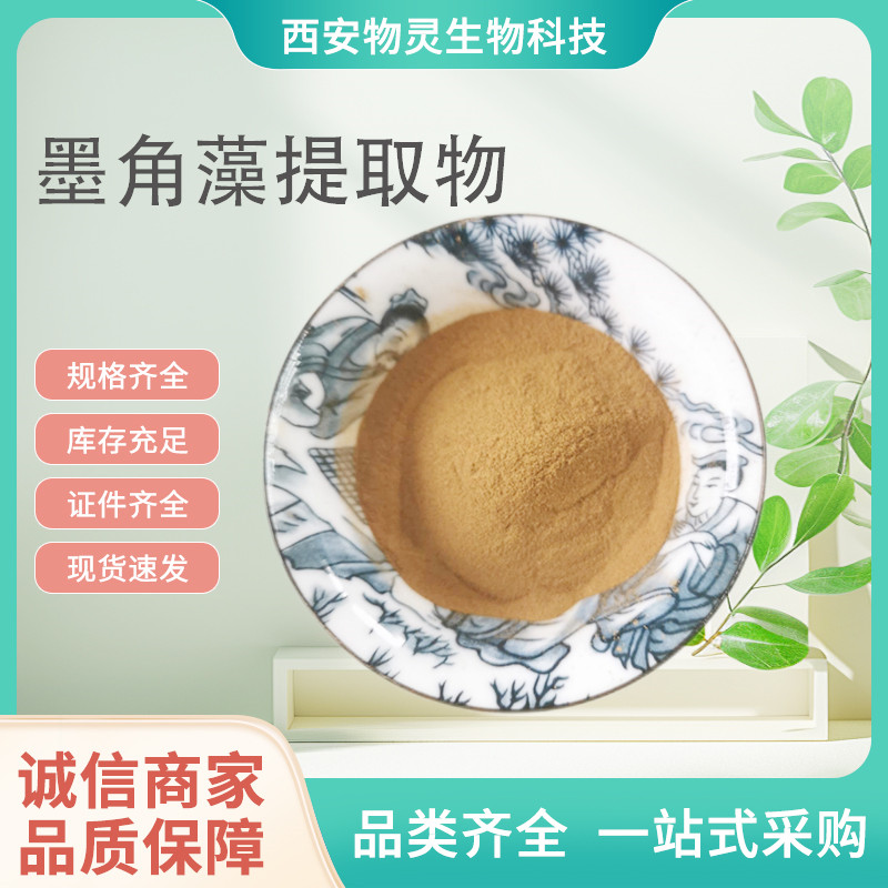 墨角藻提取物 植物萃取墨角藻多糖 10:1比例浓缩粉 原料