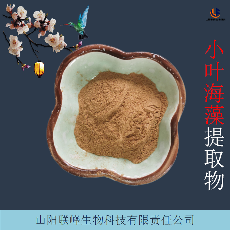 小叶海藻提取物 海藻多糖 浓缩粉 浸膏 品质稳定 支持定制