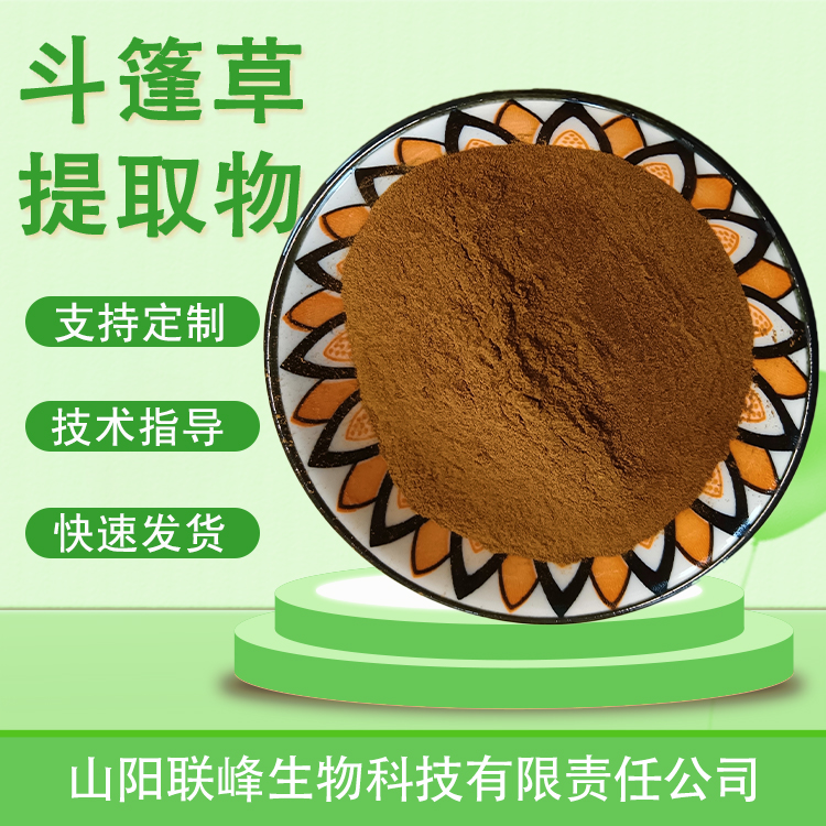 斗篷草提取物 10:1水溶羽衣草粉 水溶性好 喷雾干燥 可定制