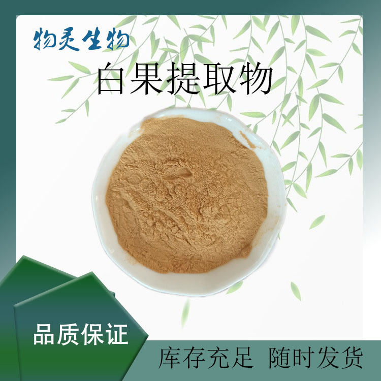 物灵生物 白果提取物 水溶性粉末 白果粉 植物萃取 食品原料 1kg起批
