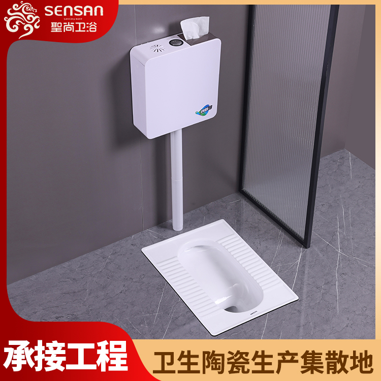 感应蹲便大便器 家庭厕所带存水弯式 工程卫浴定制 诚信经营 聖尚