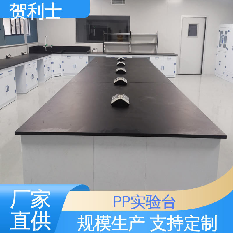 厂家直供 pp实验家具 化学PP实验台 适用有机实验室 支持定制