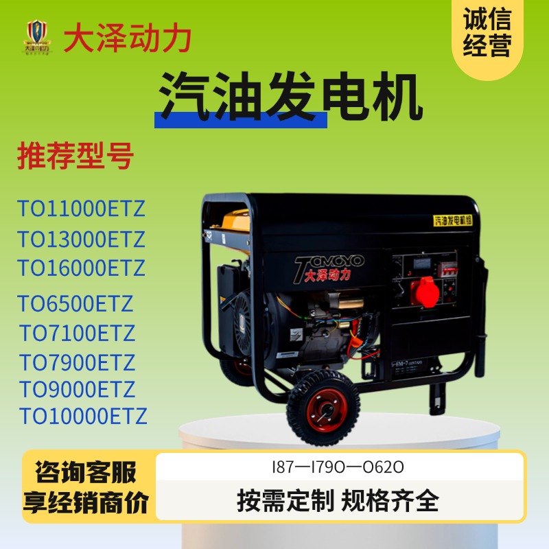6KW汽油发电机TO7100ETZ单缸 出口品质 大泽动力 50HZ220V380V 等功率