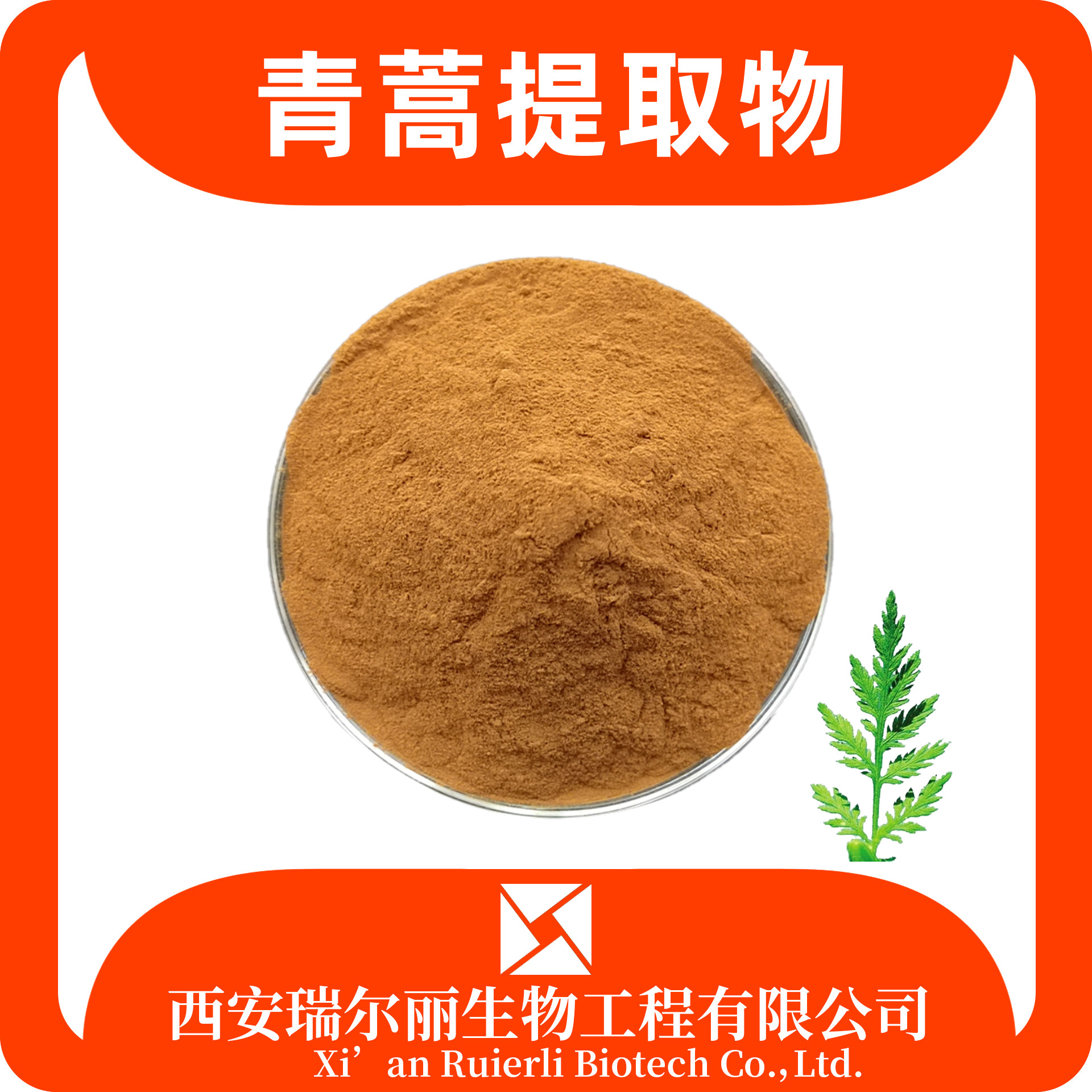 青蒿提取物10：1 水溶粉 天然青蒿提取 可定制 瑞尔丽生物 源头工厂