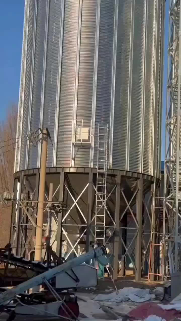 视频