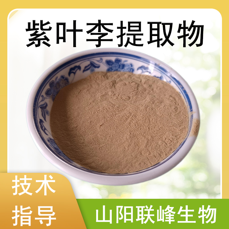 紫叶李提取物 10：1浓缩粉 植物萃取原料 食品级 1公斤起订