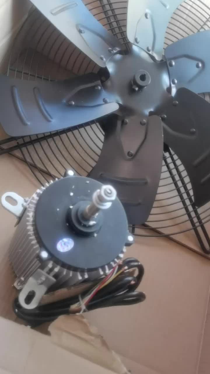 视频
