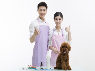 来宝宠物用品