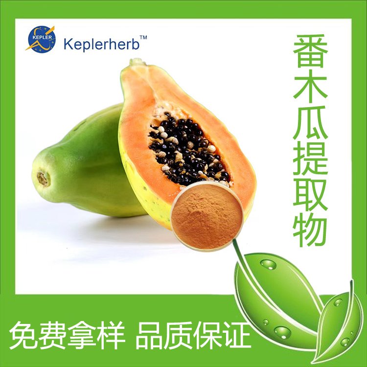番木瓜提取物 水溶性浓缩浸膏粉 保健食品固体饮料工厂