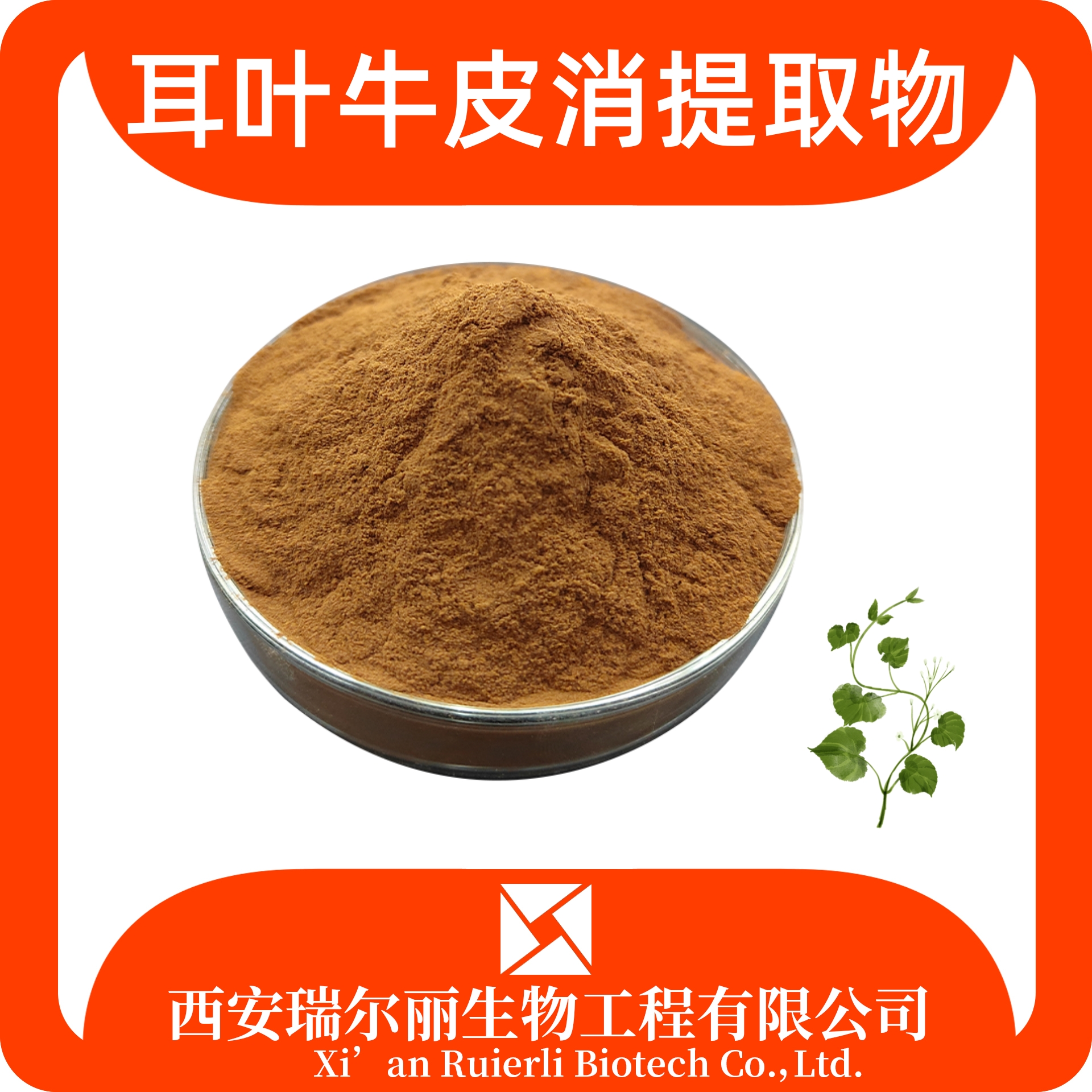 耳叶牛皮消提取物 飞来鹤提取物 SC证可定制 药食同源 瑞尔丽生物