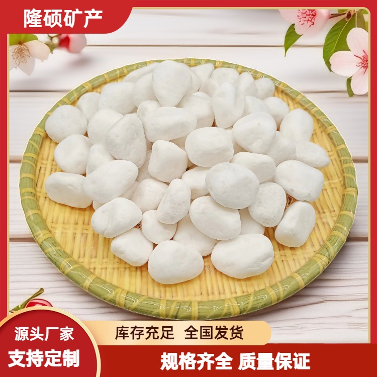 园林景观装饰白色砾石枯山水造景水磨石白石子地坪骨料白碎石