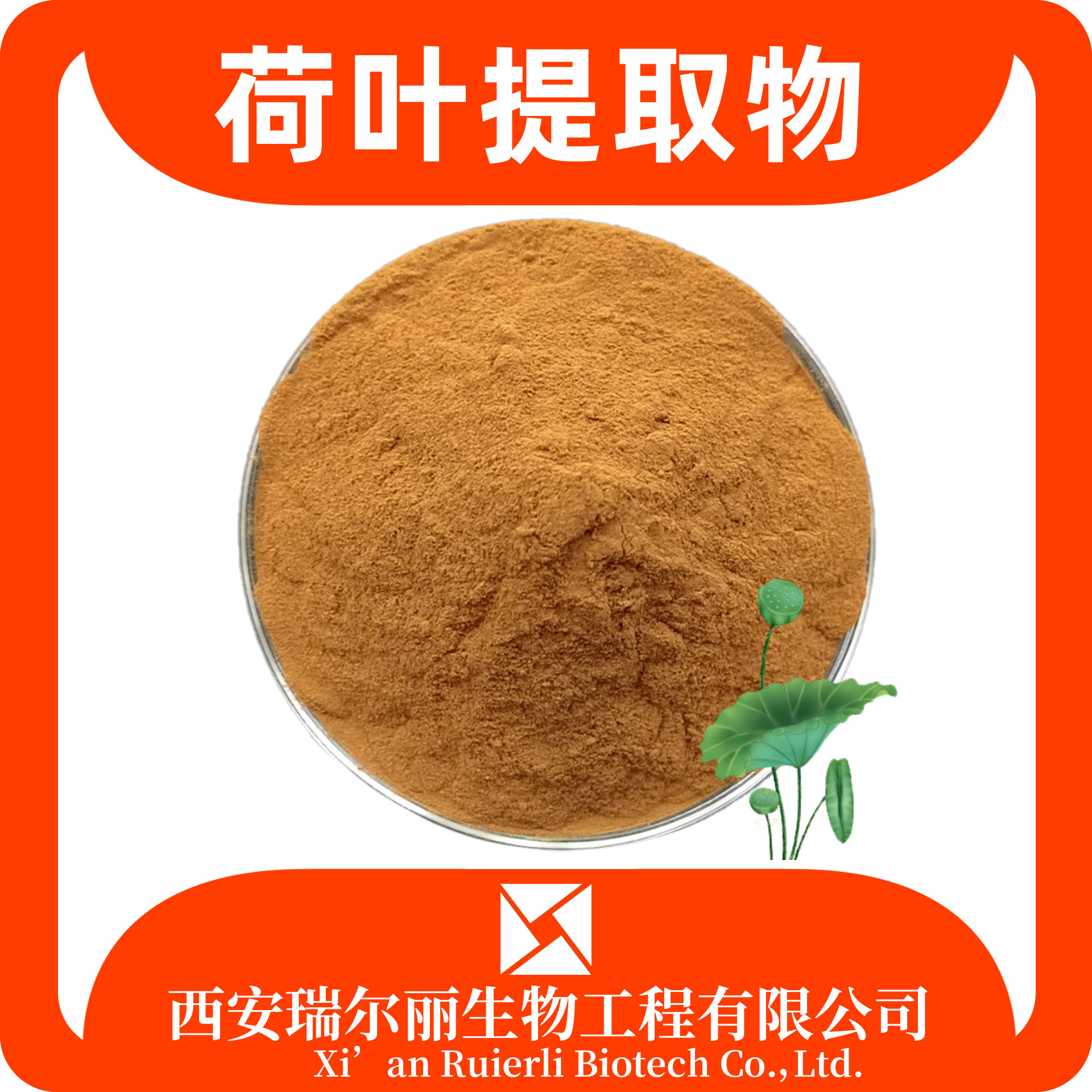 荷叶提取物10:1 水溶荷叶粉 SC证 固体饮料 药食同源 现货速发