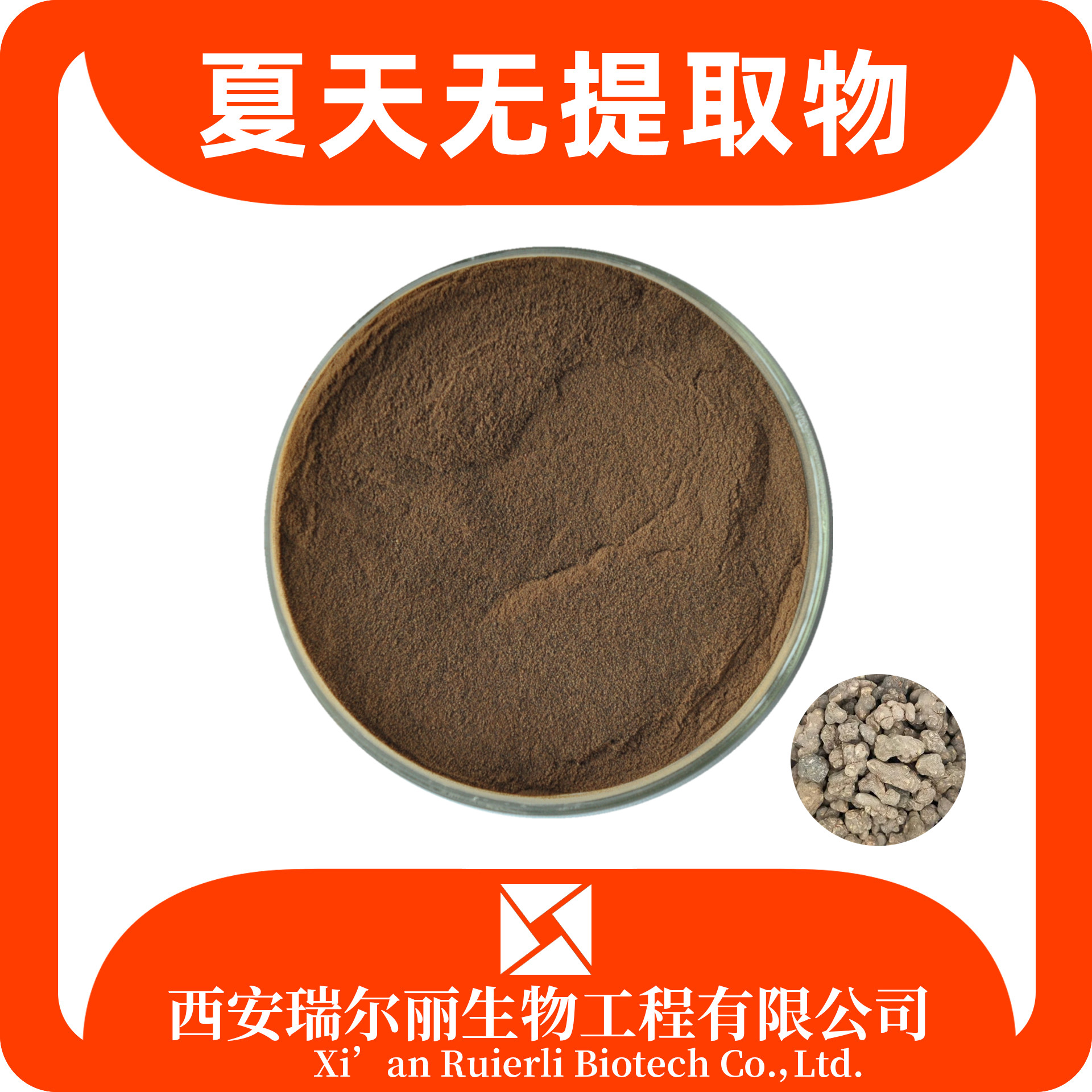 夏天无提取物 速溶夏天无粉 伏生紫堇粉 SC工厂可定制 现货速发