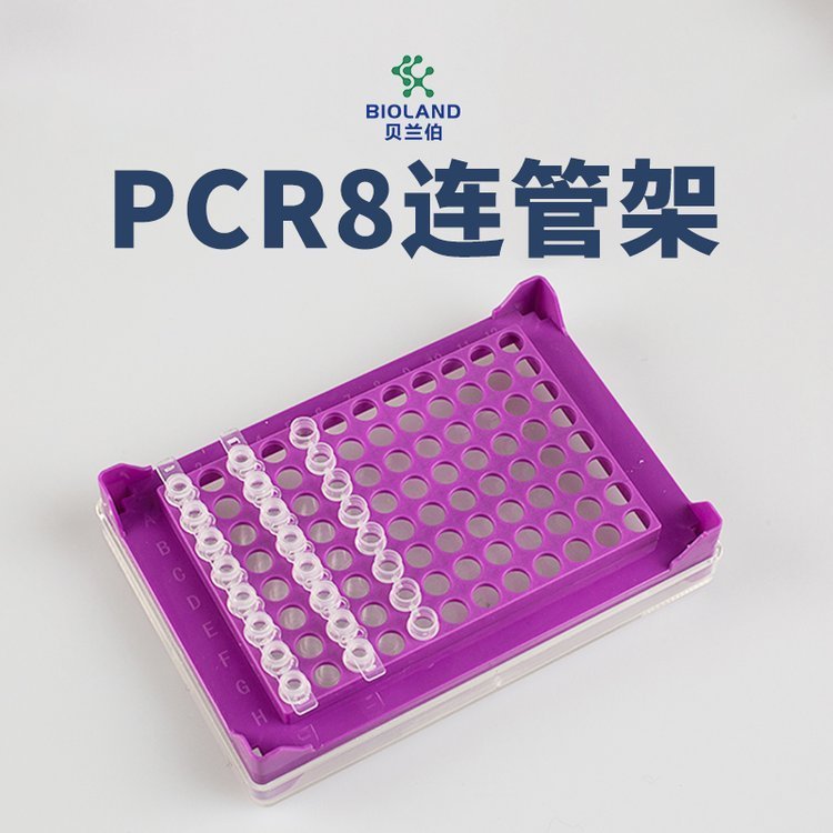 贝兰伯/Bioland PCR8联管架 8x12孔 适配0.1ml/0.2ml 离心管架 CF08-96
