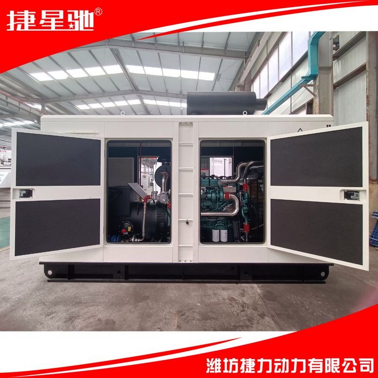 捷力200KW 天然气 沼气 柴油 余热回收 静音 集装箱 发电机组 功率齐全