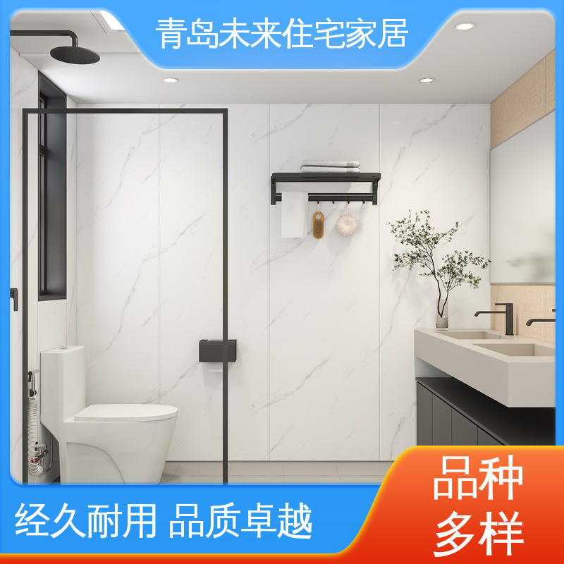 未来住宅家居 来样设计 质量保证 抗压强度大 装配式整体卫浴