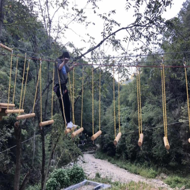 树上丛林穿梭 大型户外游乐设备定制 丛林拓展项目