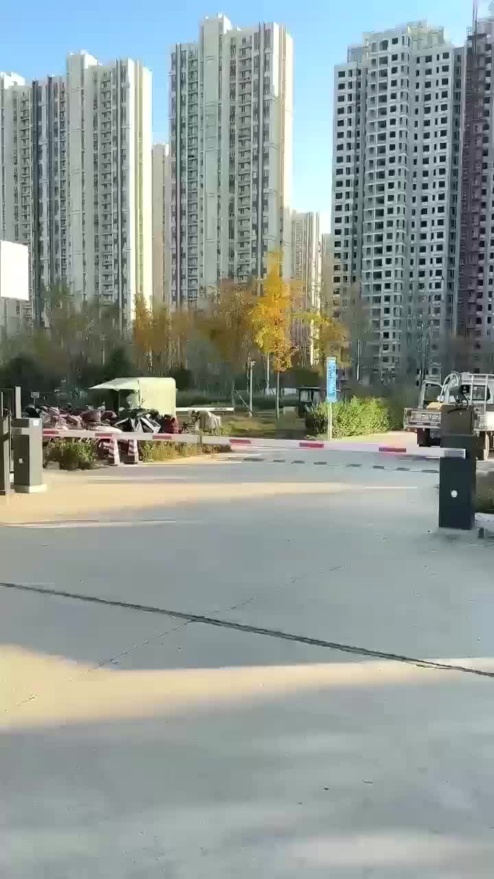 视频