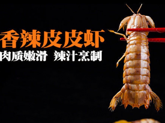 狸小龙小龙虾