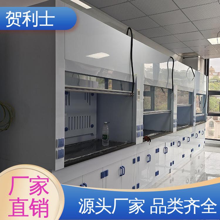 规模生产 支持定制 节能环保 耐高温 抽风柜 贺利士