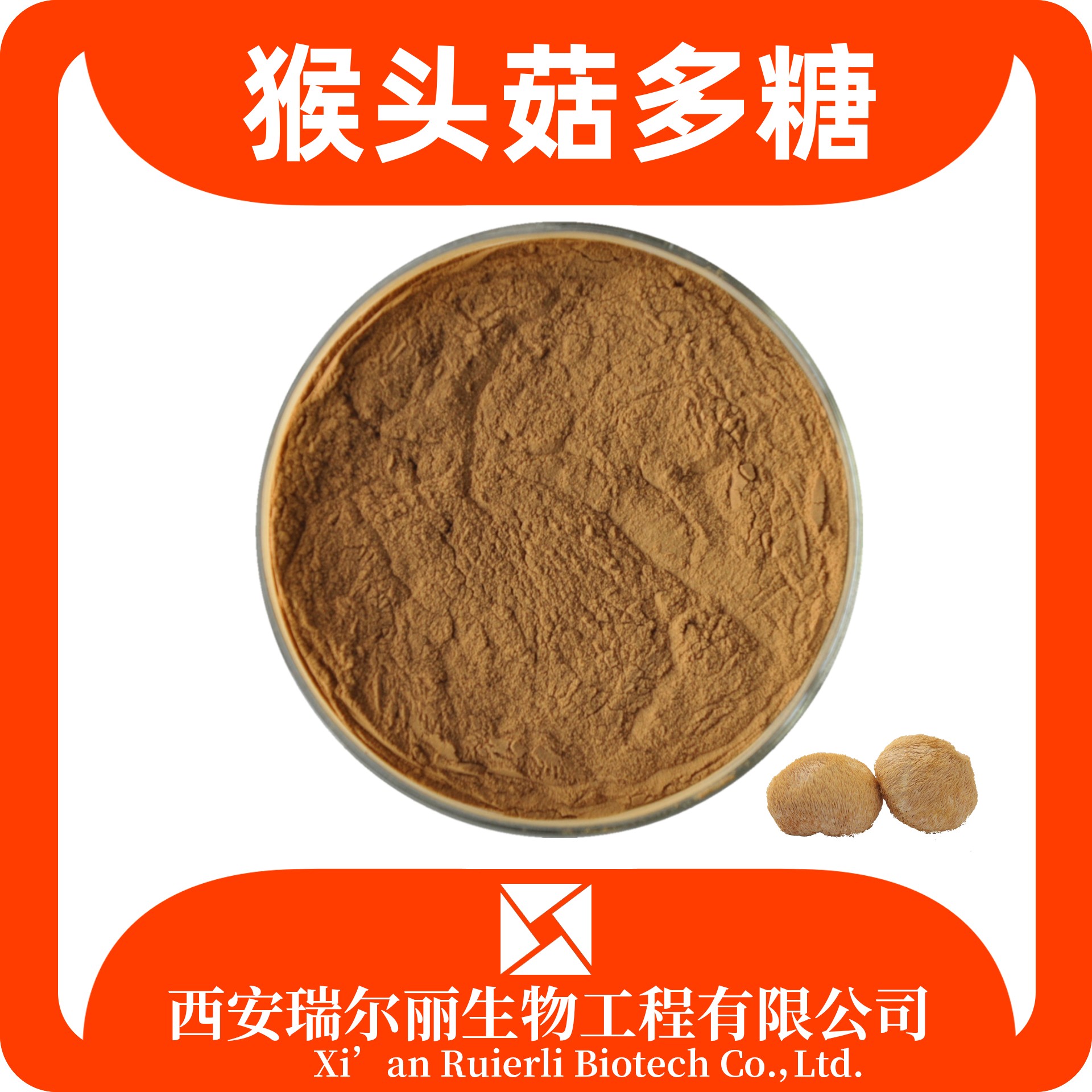 喉头菇多糖30% 猴头菇提取物 猴头菇菌丝体 猴头菇粉 瑞尔丽生物