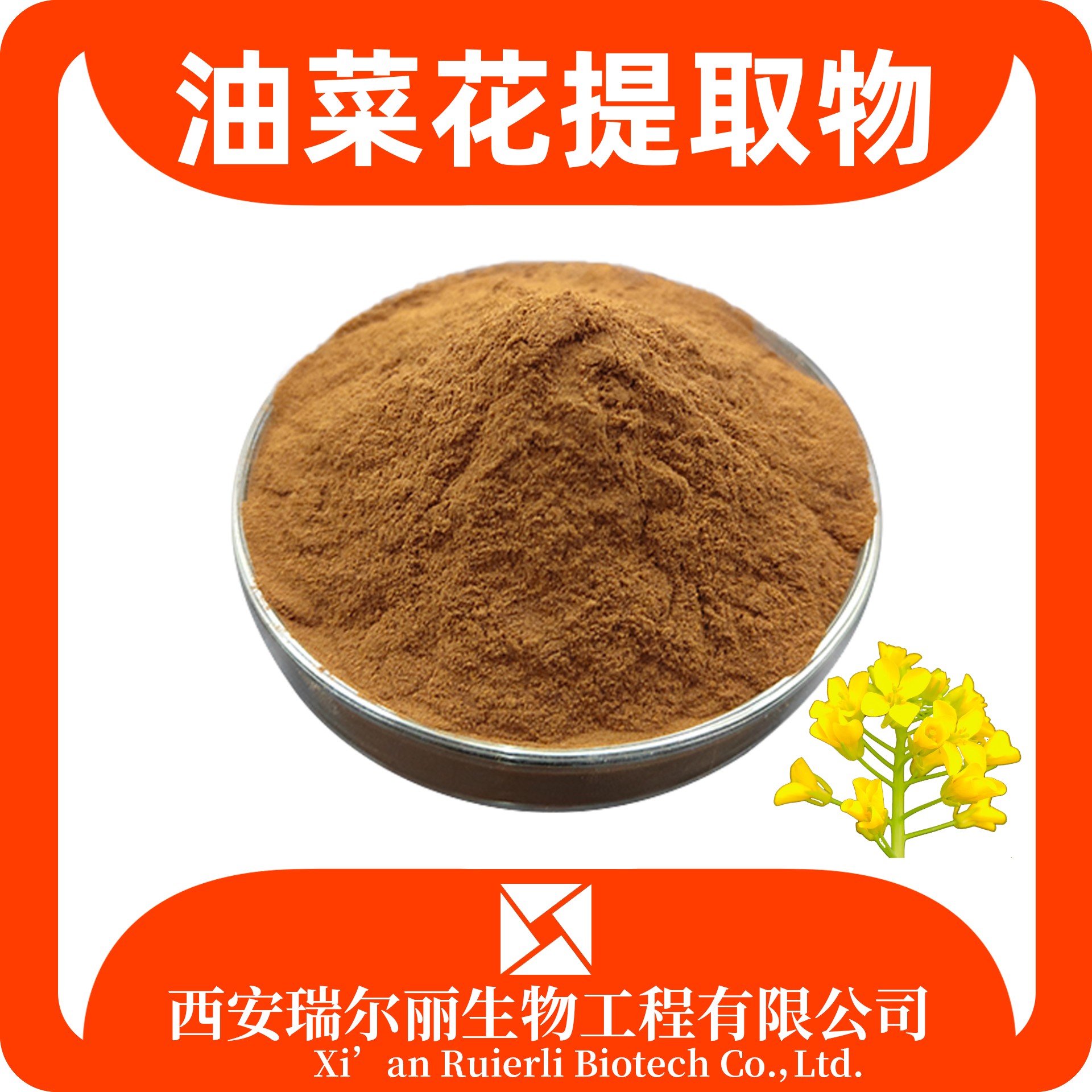 油菜花提取物 油菜花粉 速溶浓缩 SC证可定制 食品级 瑞尔丽生物