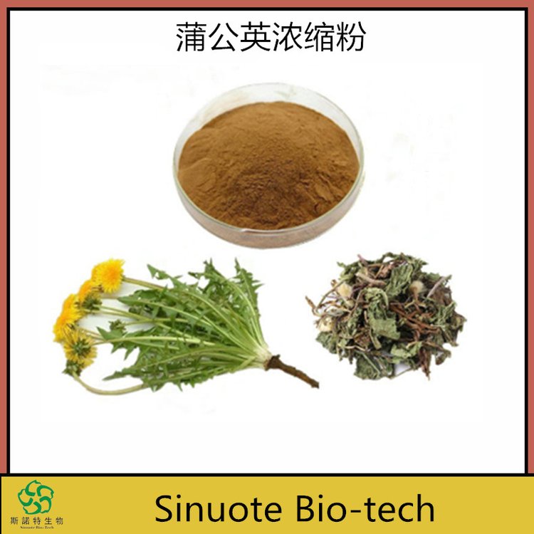 斯诺特 蒲公英浓缩粉 植物萃取 水溶性粉末 食品级