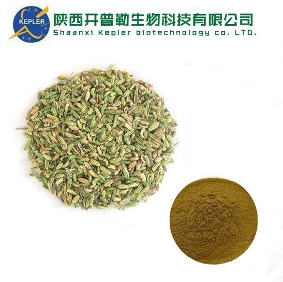 水溶性小茴香粉 固体饮料 水提浸膏粉 药食同源 开普勒生物