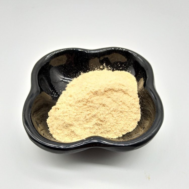 斯诺特 磷酯酰丝氨酸 含量20% 粉状 新资源食品原料