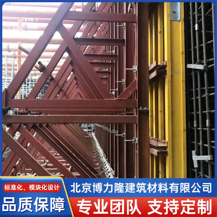 Q235建筑模板支架出租 地铁侧墙模板长期租赁 租期灵活 博力隆