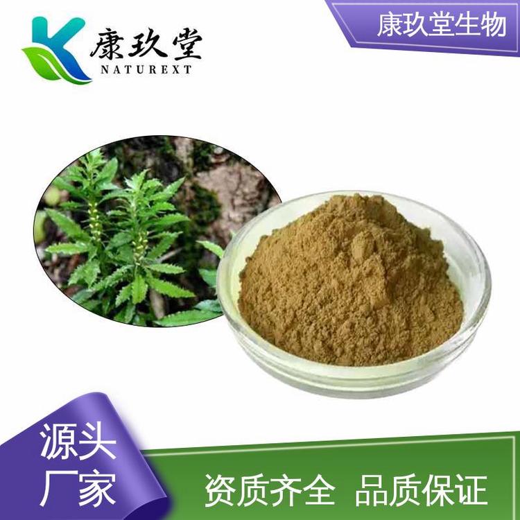 康玖堂 千层塔植物提取物 1%石杉碱甲 25公斤/桶 设备先进
