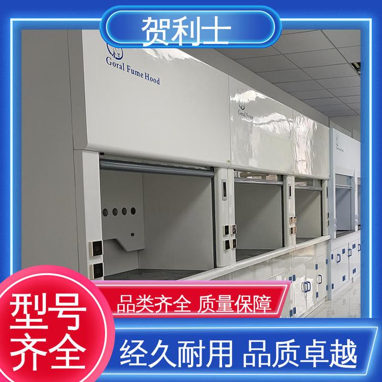 净气型通风柜 实芯理化板台面 耐酸碱 服务优先 客户至上 贺利士
