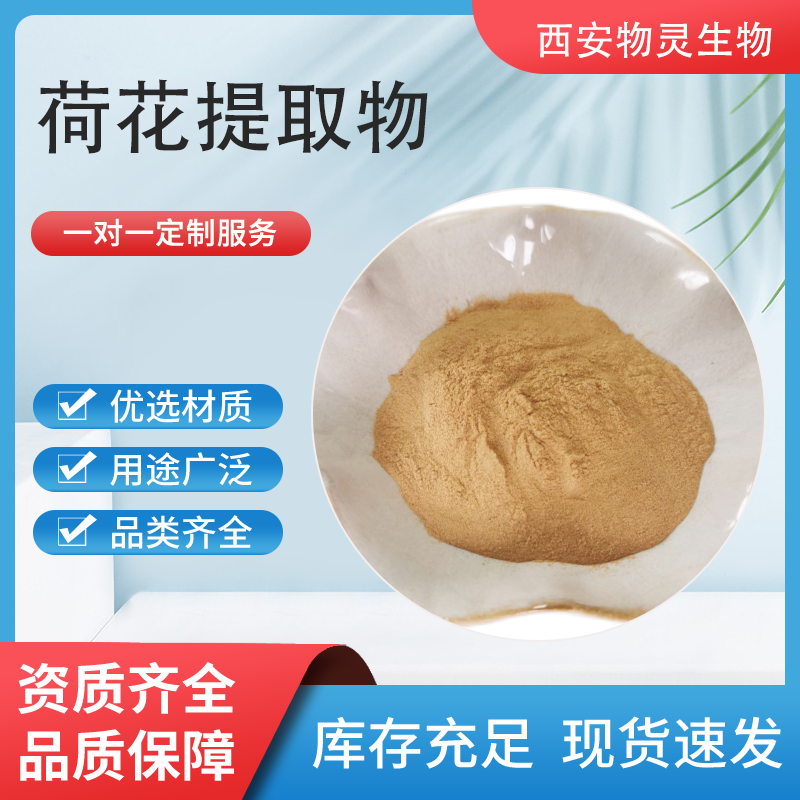 荷花提取物 10:1速溶粉 水溶 药食同源 珺禾生物 1kg起批