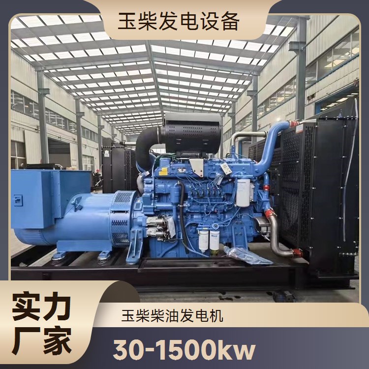 玉柴 250KW柴油发电机 商场医院应急备用 静音箱型 工作效率高