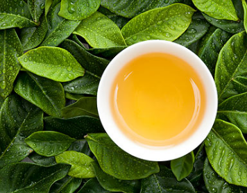 碧水天香茶楼
