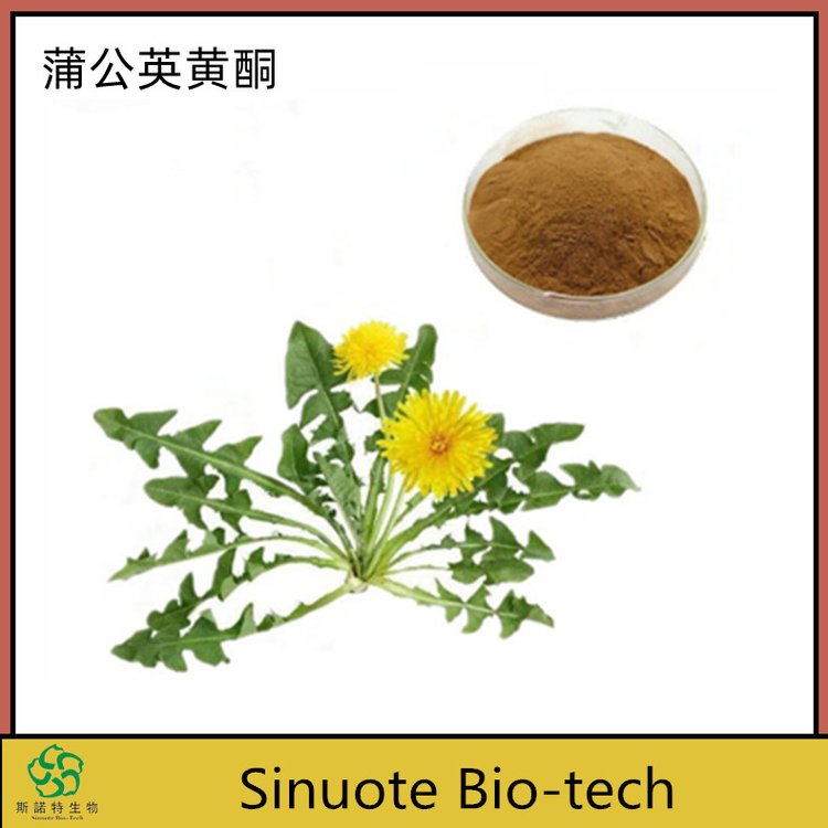 蒲公英黄酮 精细粉末 可制粒压片 Dandelion Extract