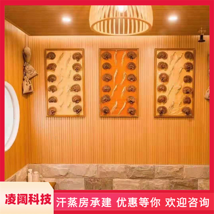 凌阔科技 商用 负离子汗蒸房 多种风格规格定制 上门服务