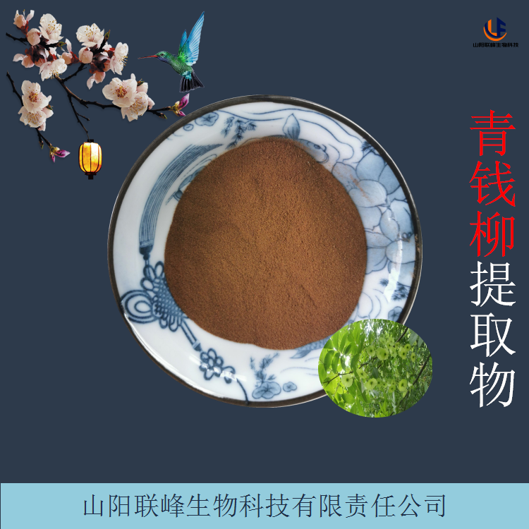 青钱柳提取物 萃取青钱柳叶原料粉/浸膏 含黄酮