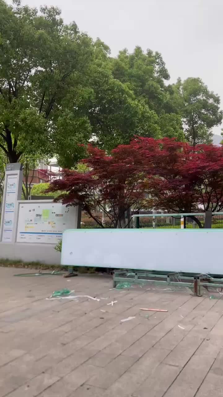 视频
