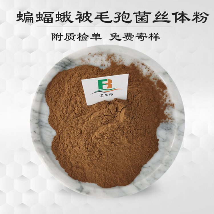 富尔邦 蝙蝠蛾被毛孢菌丝体粉 发酵冬虫夏草菌粉 CS-C-Q80 土黄色
