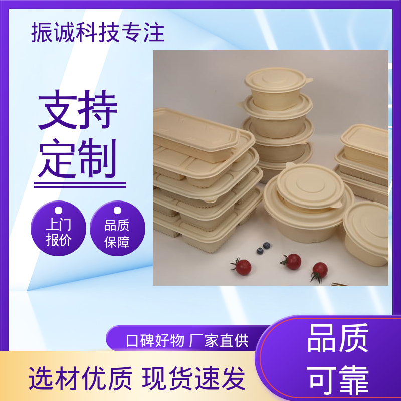 符合限塑标准餐盒 餐厅餐馆都能用 加厚 振诚科技
