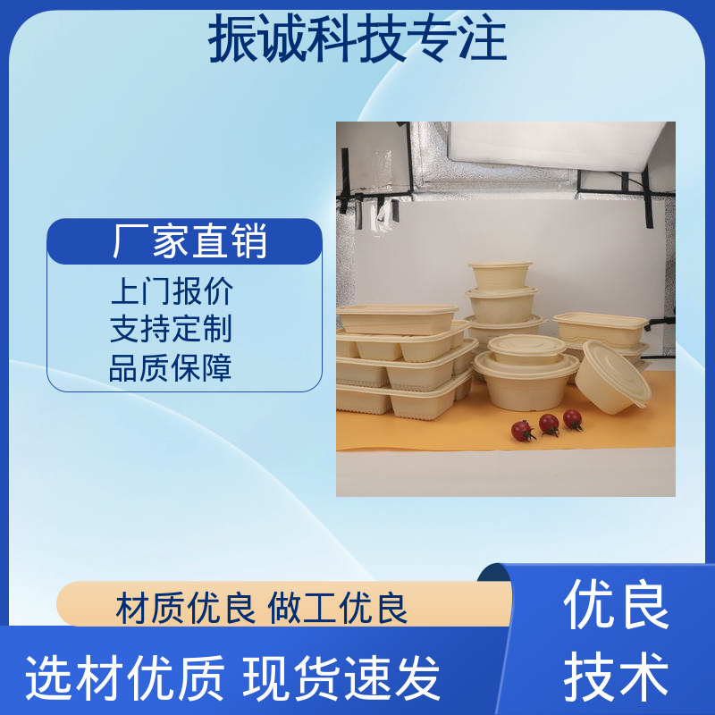 振诚科技 外卖打包盒 儿童带餐便携环保 五格餐盒