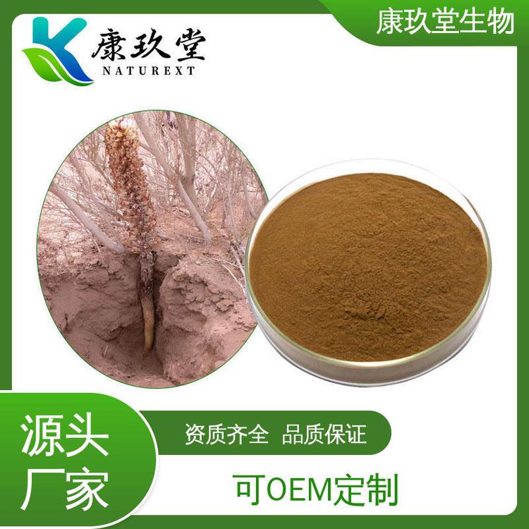 棕色粉末 Cistanche Extract 资质齐全 肉苁蓉提取物 康玖堂