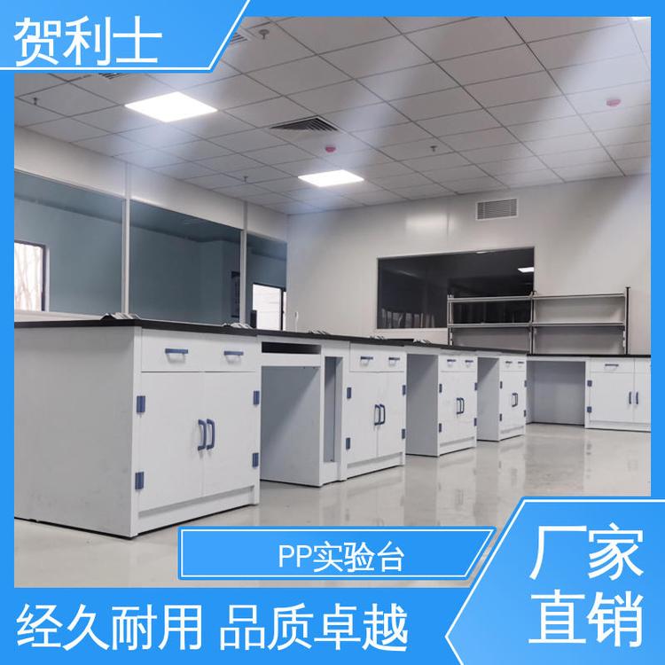 实验场所PP实验台 按需定制 适用有机实验室 实验室操作平台 贺利士