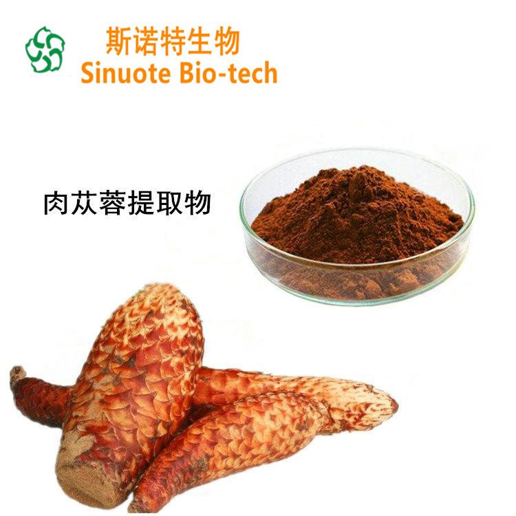 肉苁蓉提取物 水溶性 棕色粉末 80目 植物萃取 喷雾干燥