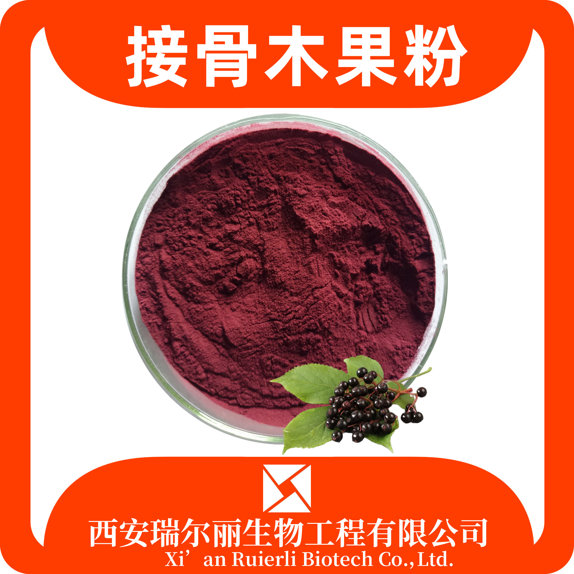接骨木果粉99% 水溶接骨木粉 速溶浓缩粉 果汁粉 SC证 瑞尔丽生物