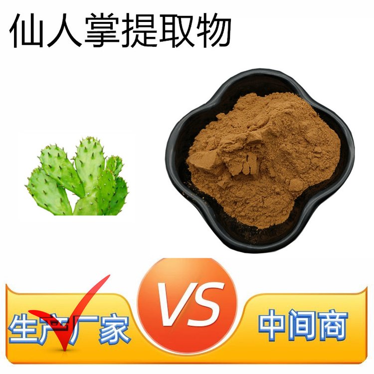 斯诺特 仙人掌提取物 喷干粉 溶水无沉淀 当天发货